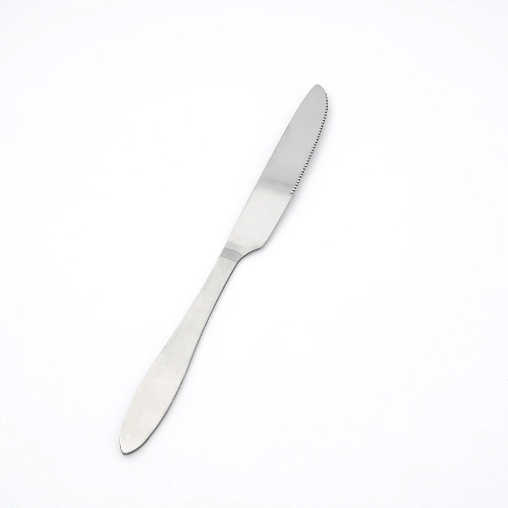 Stainless Steel Dinner Knife SS401