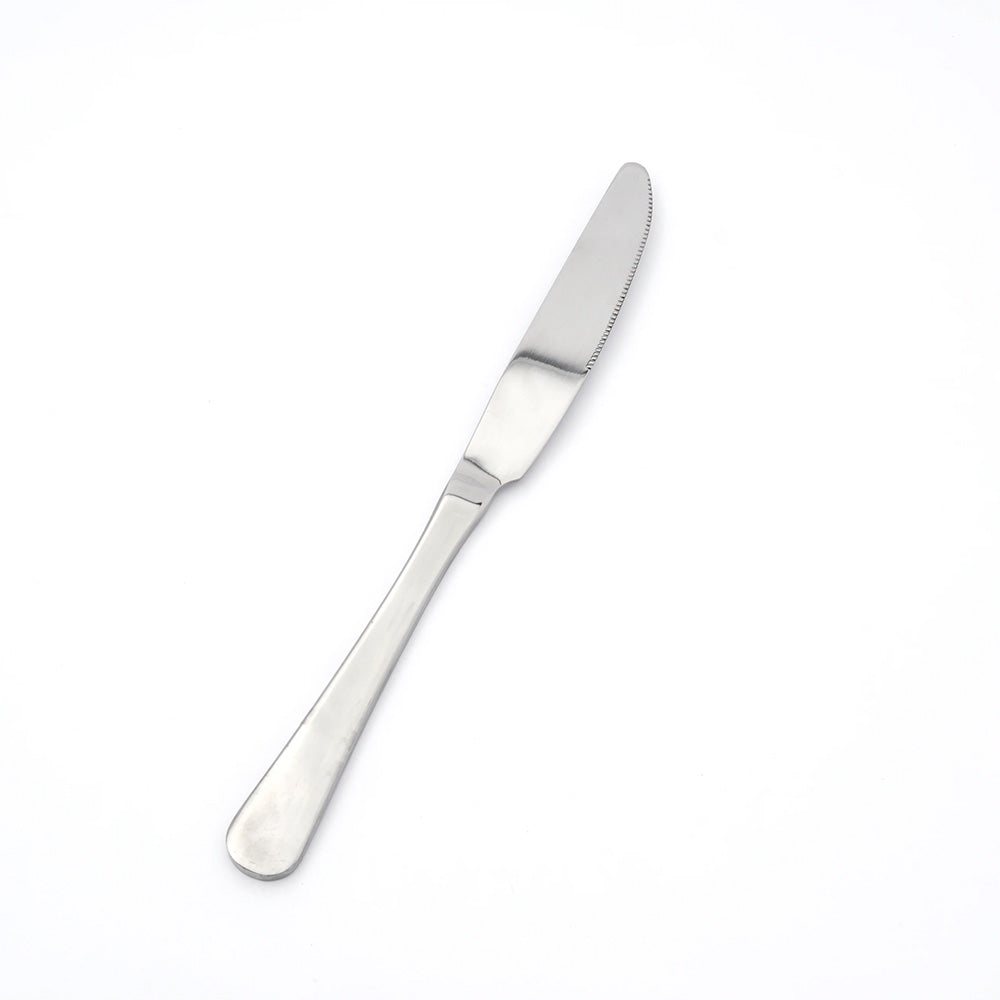 Stainless Steel Dinner Knife SS401