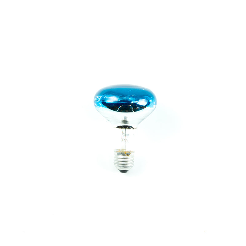 Spot Light Dura Lamp Frosted