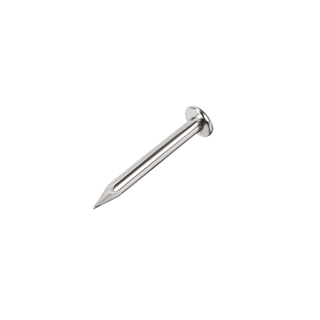 Wire Nail 2 ½'' (50 Gram)