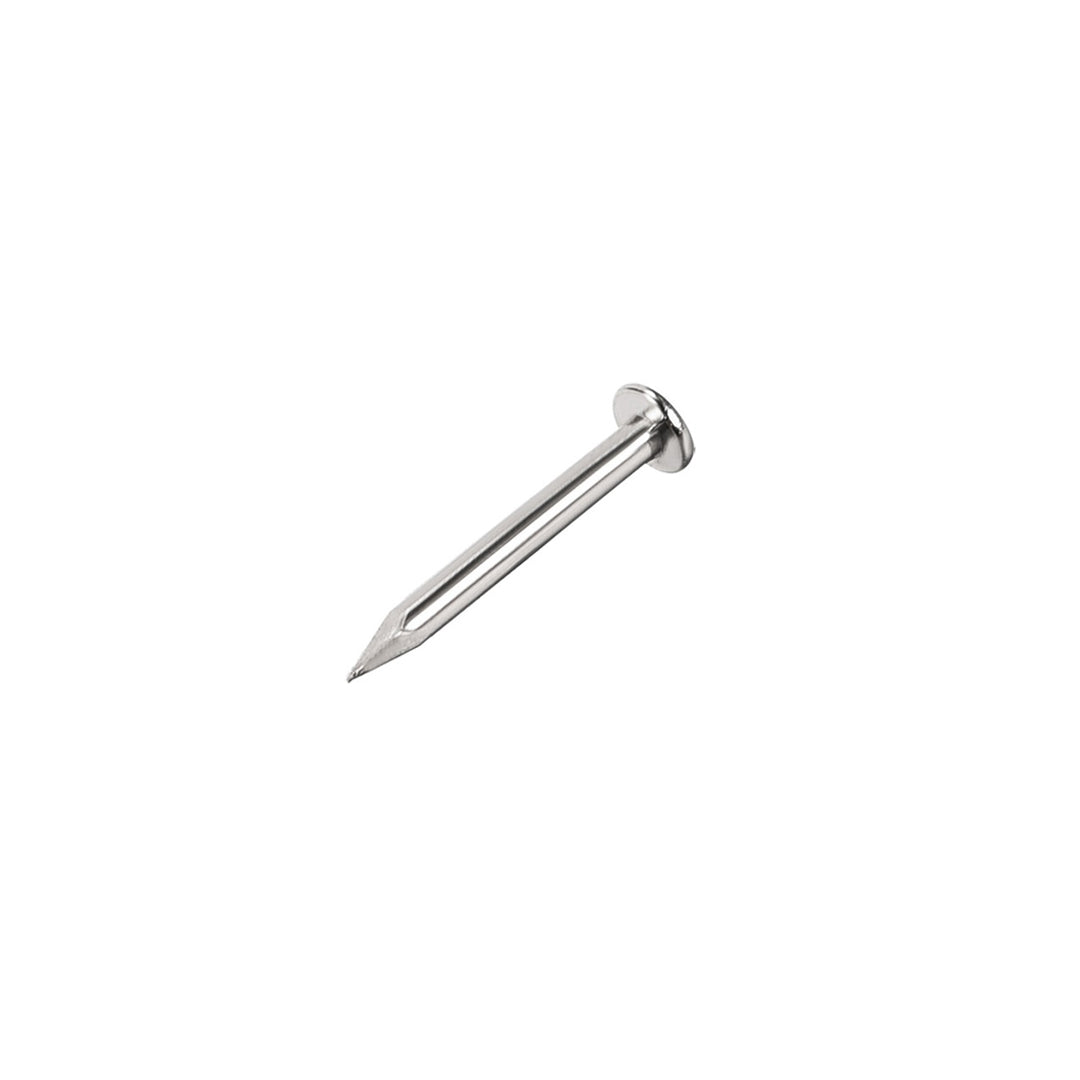 Wire Nail 2'' (50 Gram)