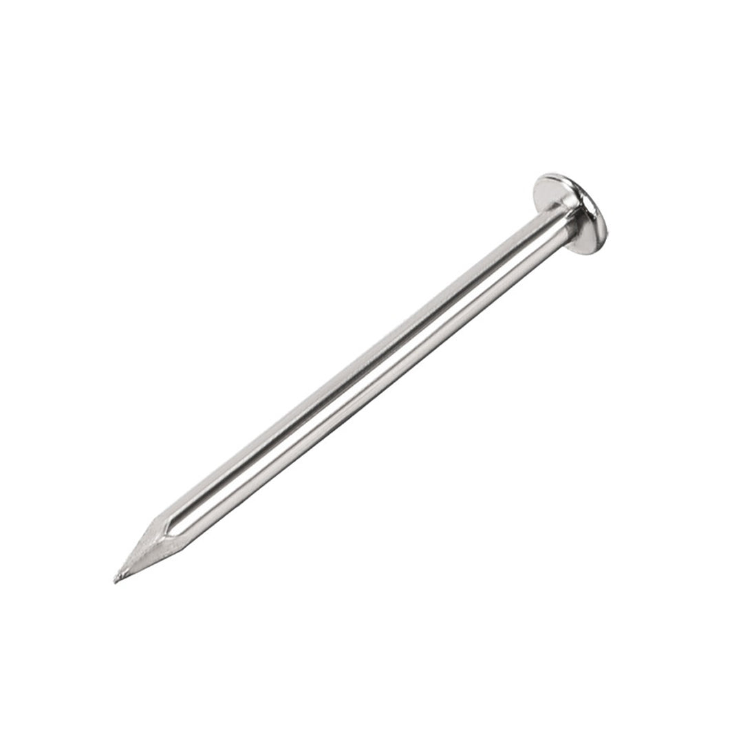 Wire Nail 6'' (50 Gram)