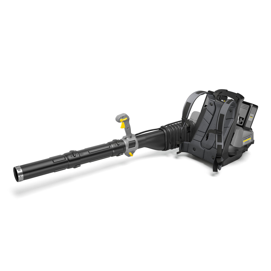 Leaf Blower LBB 1060/36 BP Pack