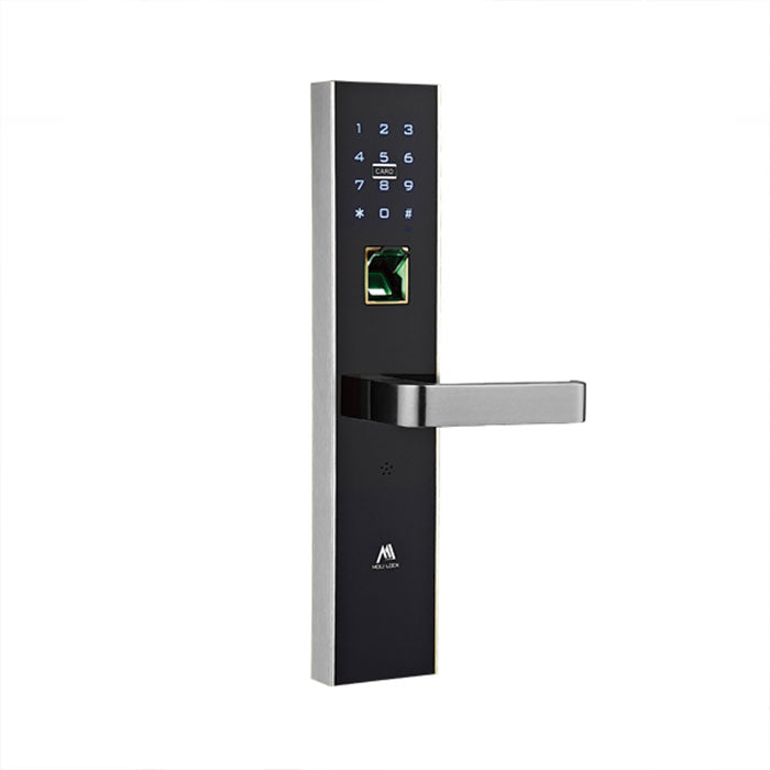 Moli Fingerprint door lock, Left - Silver