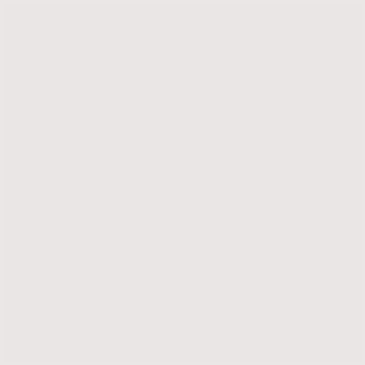 Floor tiles EC Satin mat White 300x300mm