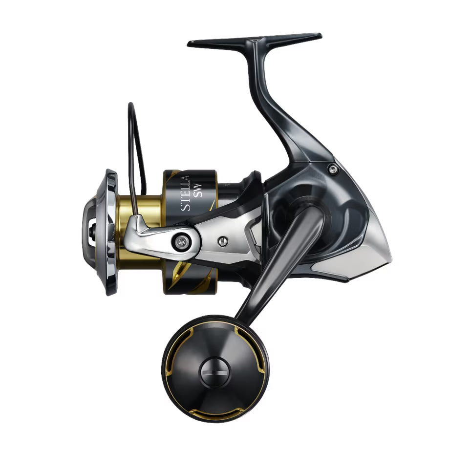 Shimano 25 STELLA SW 6000PGD OVS