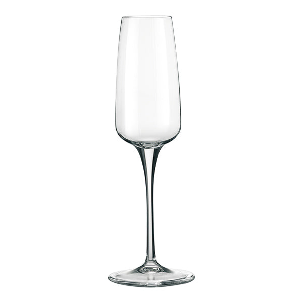 Bormioli Rocco Champagne Tulips Flute Glass 230 Ml 6pc Set