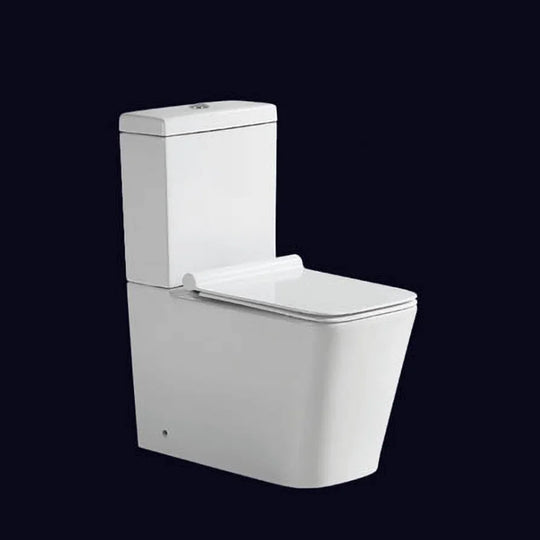 Washdown Two Piece Toilet S-trap 250mm