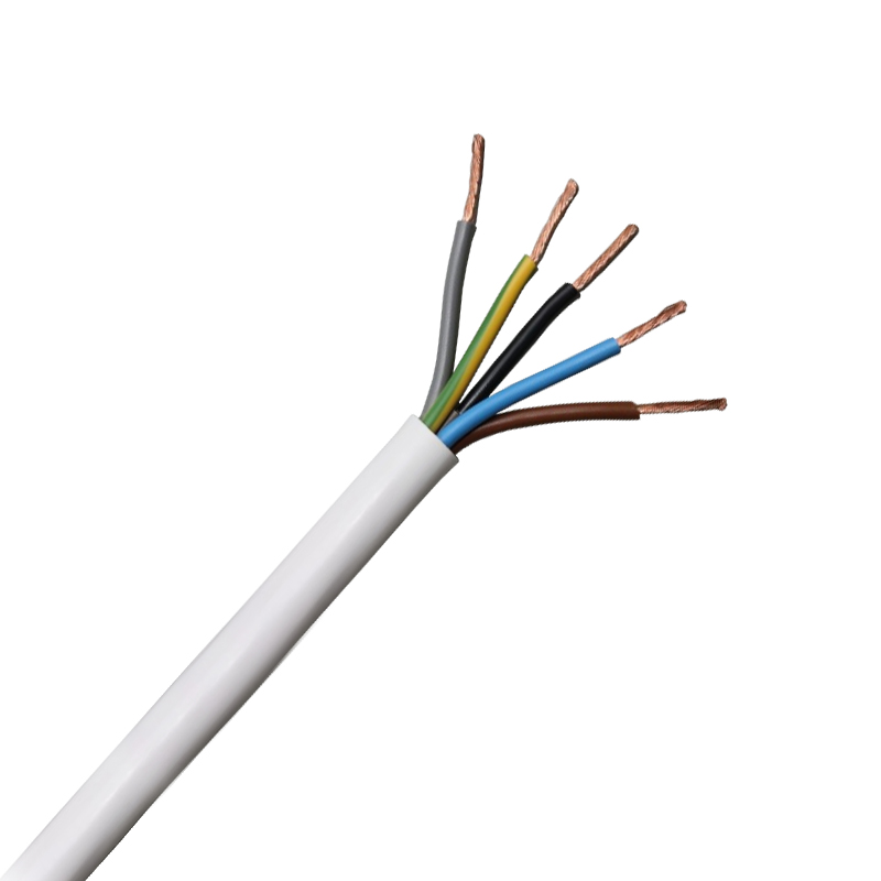 Flexible Cable 5 Core x 2.5 mm x 1 Feet