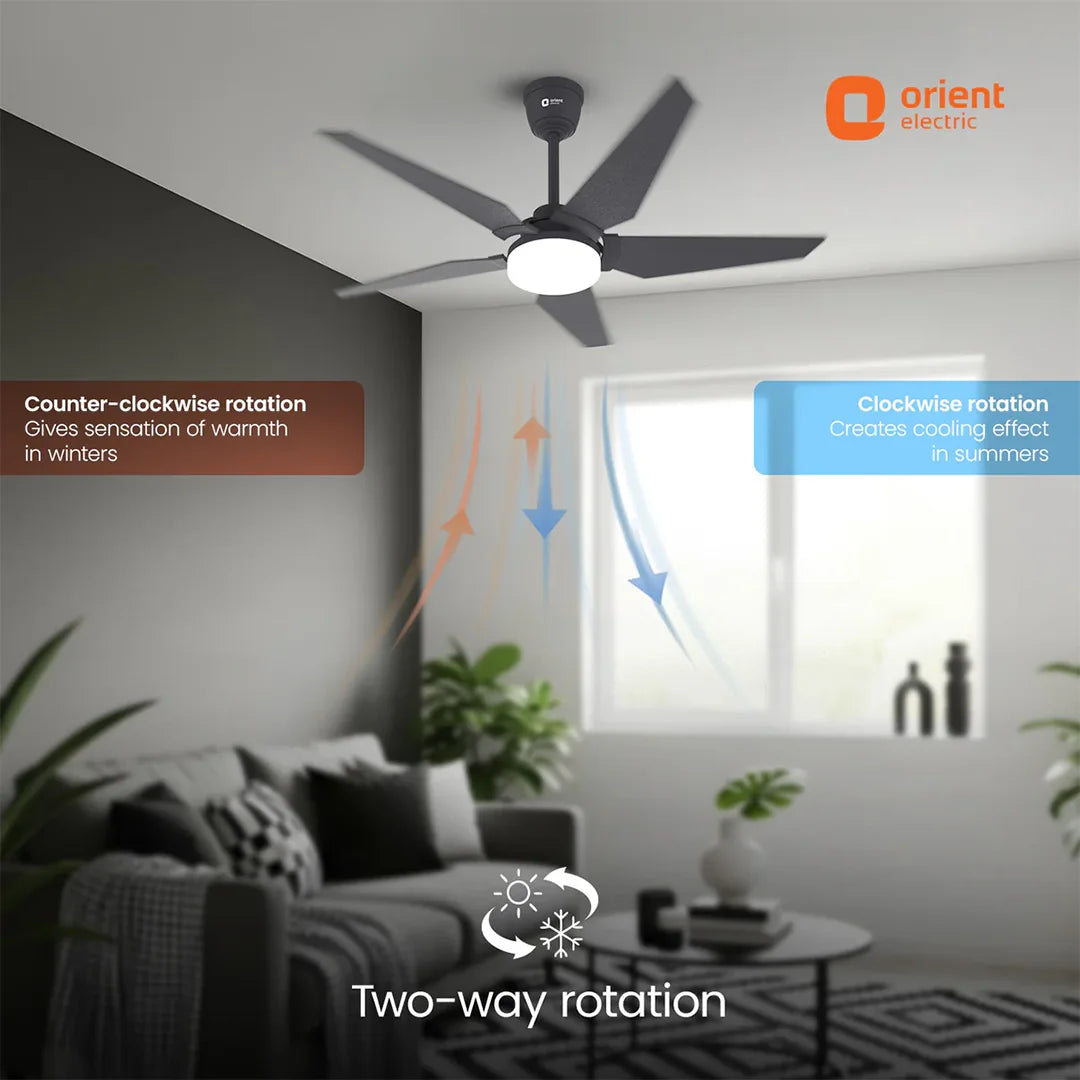 ORIENT Artis BLDC Ceiling Fan With Remote, Black 1320MM