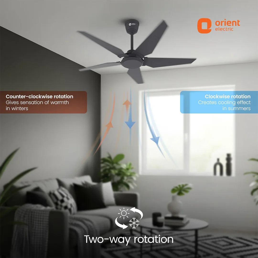 ORIENT Artis BLDC Ceiling Fan With Remote, Black 1320MM
