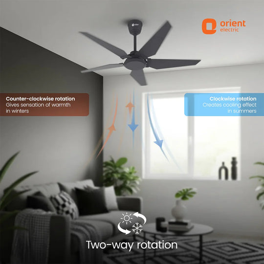 ORIENT Artis BLDC Ceiling Fan With Remote, Black 1320MM