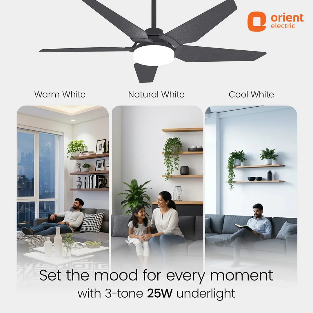ORIENT Artis BLDC Ceiling Fan With Remote, Black 1320MM