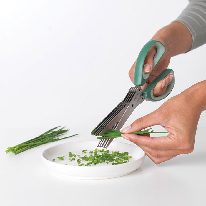 Tasty+ Herb Scissors Plus Cleaning Tool Fir Green