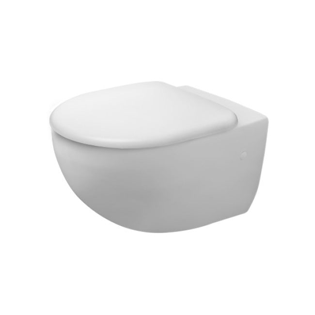 Architec Toilet Wall-mounted bowl