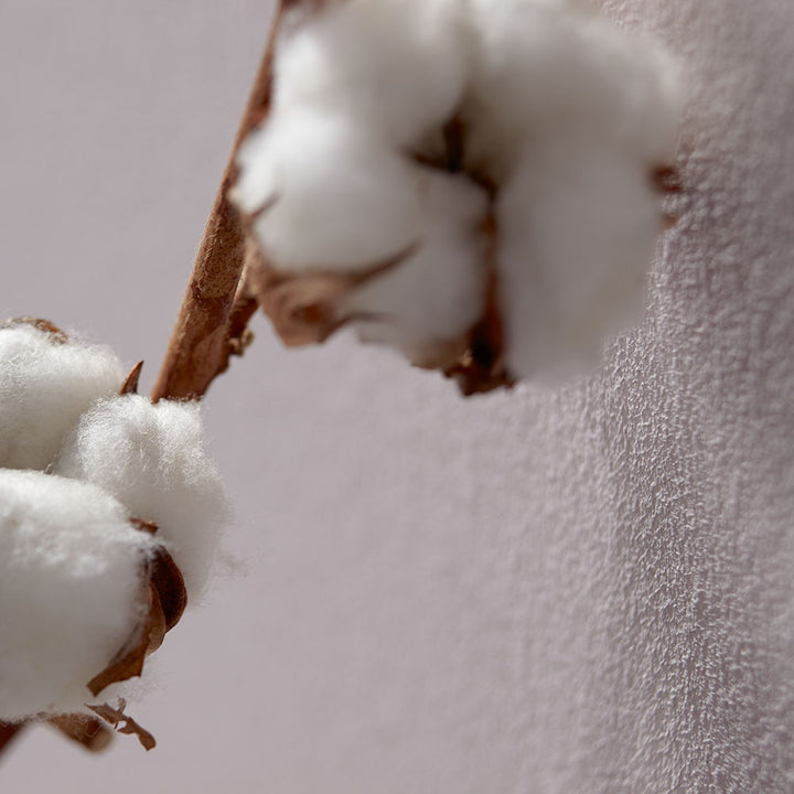 DIY Wallpaper Vliesfaser Trend Sisal