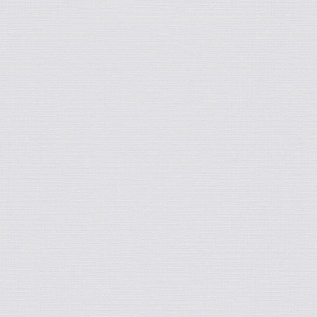 Erfurt Vliesfaser Maxx Economy Wall Paper